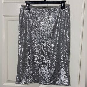 Sparkly Silver Sequin Ann Taylor Skirt